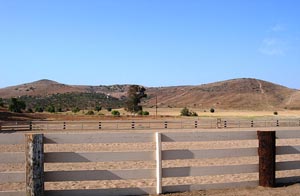 Arena View