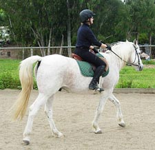 Flatwork
