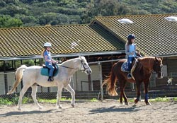 Lesson on Dakota and Champ