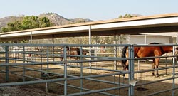 Mare Motel Stalls