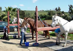 Tacking Up