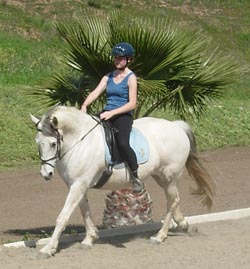 Training with Bree
